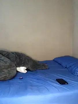 Group Jerkoftrades on StripChat