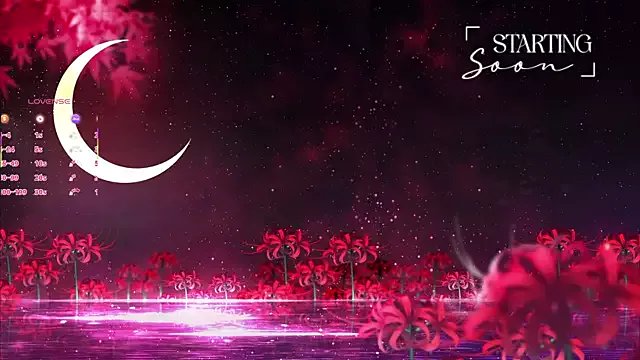 LewdFoxy_VT on StripChat