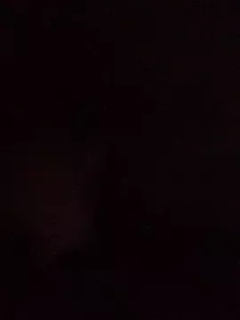 Offline Loer558 on StripChat