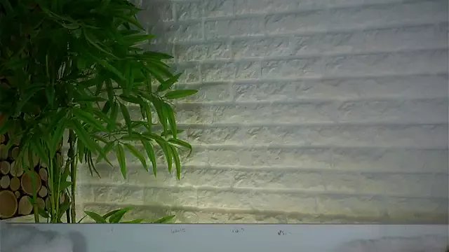 LowOncoming on StripChat