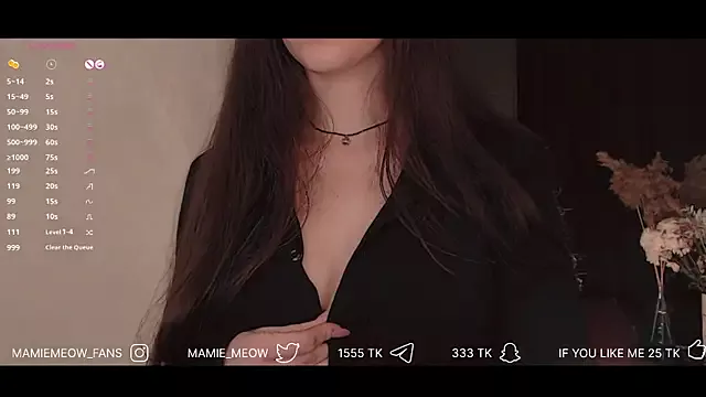 Offline Mamiemeow on StripChat