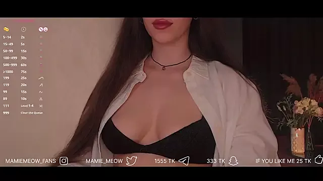 Offline Mamiemeow on StripChat