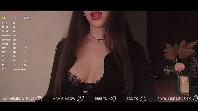 Offline Mamiemeow on StripChat