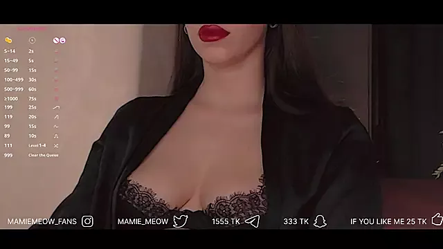 Offline Mamiemeow on StripChat