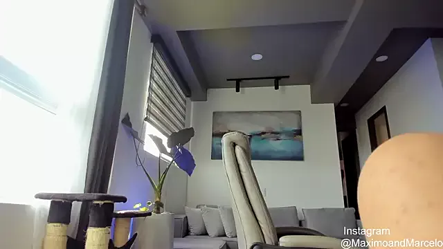 Offline Maximo_Marcelo on StripChat