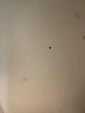 MEOW_MEO on StripChat