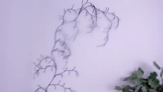 miss__allison on StripChat