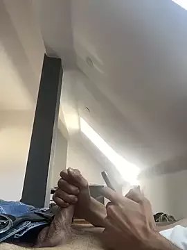 musti312 on StripChat