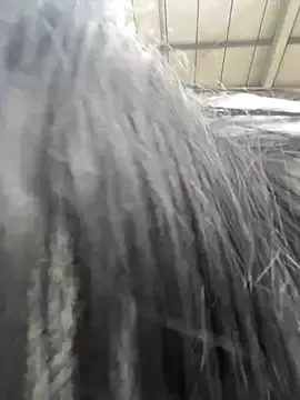 Freechat oh_nina on StripChat