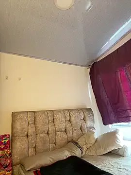 pamell_col on StripChat