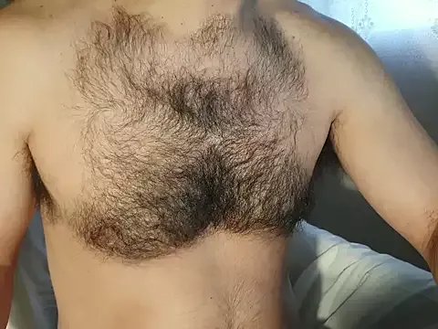 robsonbr on StripChat