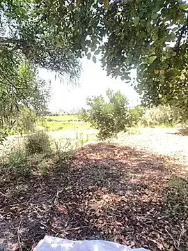 Offline Samira-Summer on StripChat