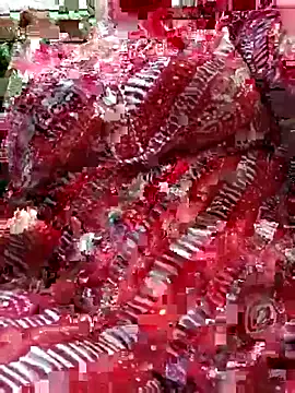 Freechat Sneha_gril on StripChat