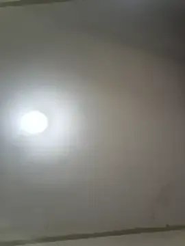 Sofi_chan on StripChat