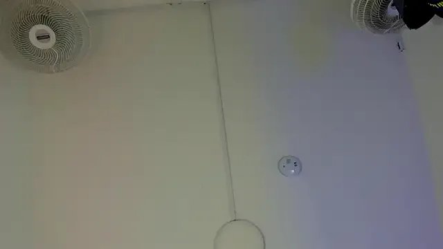 SOPHICOLLINS on StripChat