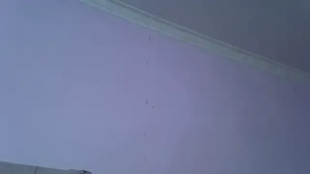 Freechat springbock56 on StripChat