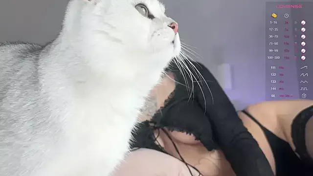 Offline Tenderiris_ on StripChat