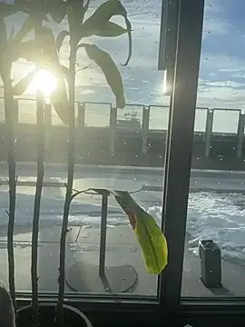 tia___fox on StripChat