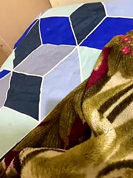 United3 on StripChat