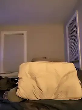 VelvetHalo —  Butt plug