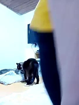 Vicky_Rosse on StripChat