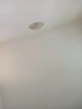 Virgin_Pussy_Love — Doggie style fingering