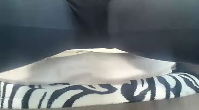 Offline Web_Lady on StripChat